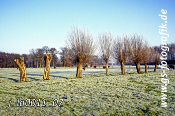 Bild in den Warenkorb legen Bild in den Warenkorb legen