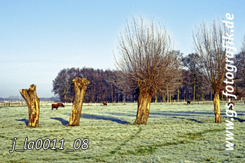 Bild in den Warenkorb legen Bild in den Warenkorb legen