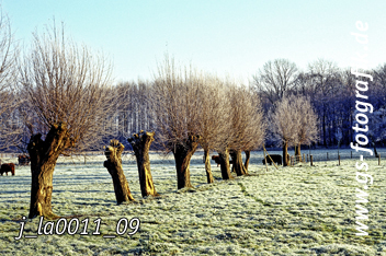 Bild in den Warenkorb legen Bild in den Warenkorb legen