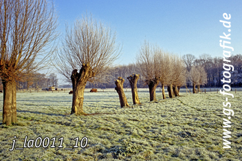 Bild in den Warenkorb legen Bild in den Warenkorb legen