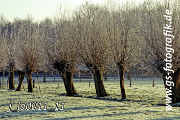 Bild in den Warenkorb legen Bild in den Warenkorb legen