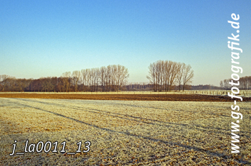 Bild in den Warenkorb legen Bild in den Warenkorb legen