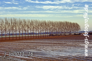 Bild in den Warenkorb legen Bild in den Warenkorb legen