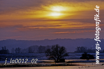 Bild in den Warenkorb legen Bild in den Warenkorb legen