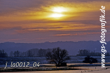 Bild in den Warenkorb legen Bild in den Warenkorb legen