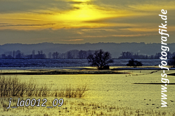 Bild in den Warenkorb legen Bild in den Warenkorb legen