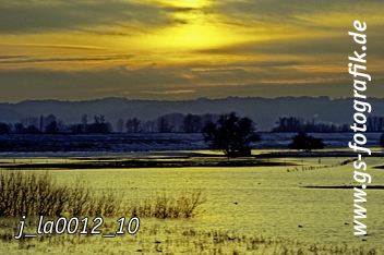 Bild in den Warenkorb legen Bild in den Warenkorb legen