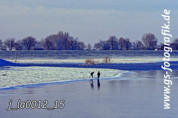 Bild in den Warenkorb legen Bild in den Warenkorb legen