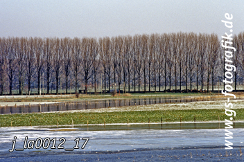 Bild in den Warenkorb legen Bild in den Warenkorb legen