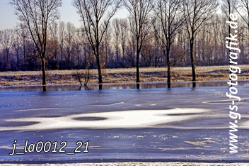 Bild in den Warenkorb legen Bild in den Warenkorb legen