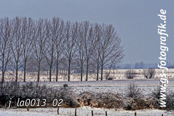 Bild in den Warenkorb legen Bild in den Warenkorb legen