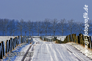 Bild in den Warenkorb legen Bild in den Warenkorb legen