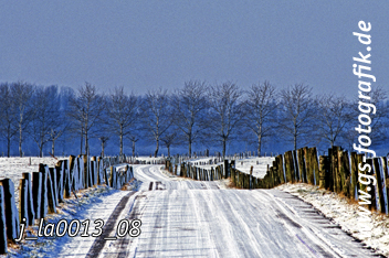 Bild in den Warenkorb legen Bild in den Warenkorb legen