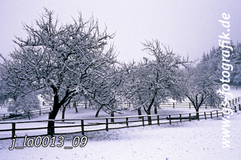 Bild in den Warenkorb legen Bild in den Warenkorb legen