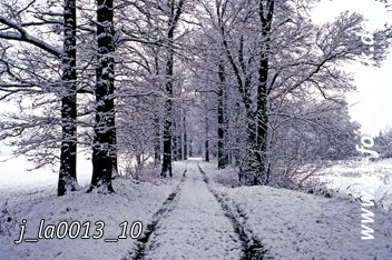 Bild in den Warenkorb legen Bild in den Warenkorb legen