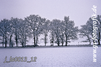 Bild in den Warenkorb legen Bild in den Warenkorb legen