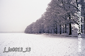 Bild in den Warenkorb legen Bild in den Warenkorb legen