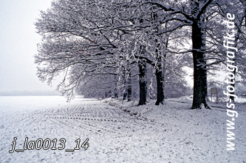 Bild in den Warenkorb legen Bild in den Warenkorb legen