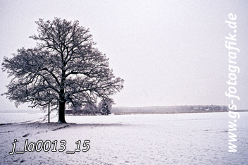 Bild in den Warenkorb legen Bild in den Warenkorb legen