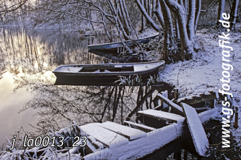 Bild in den Warenkorb legen Bild in den Warenkorb legen