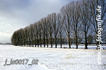 Bild in den Warenkorb legen Bild in den Warenkorb legen