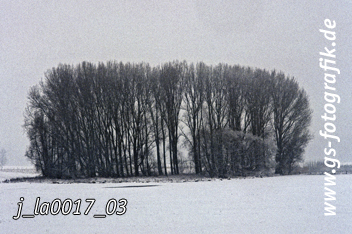 Bild in den Warenkorb legen Bild in den Warenkorb legen