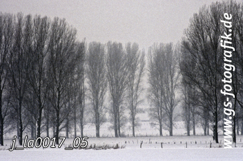 Bild in den Warenkorb legen Bild in den Warenkorb legen