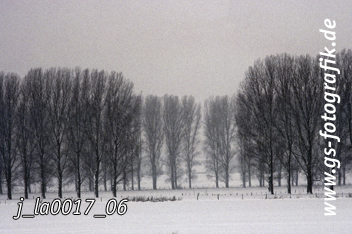 Bild in den Warenkorb legen Bild in den Warenkorb legen