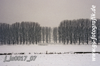 Bild in den Warenkorb legen Bild in den Warenkorb legen