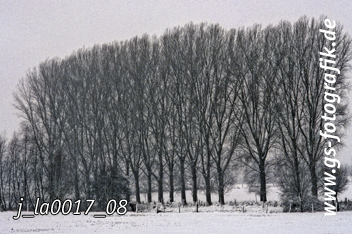 Bild in den Warenkorb legen Bild in den Warenkorb legen