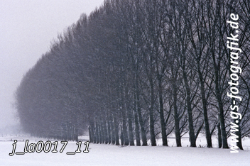 Bild in den Warenkorb legen Bild in den Warenkorb legen