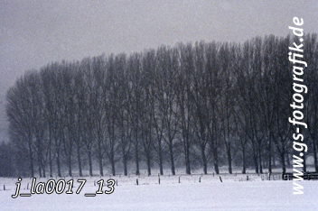 Bild in den Warenkorb legen Bild in den Warenkorb legen