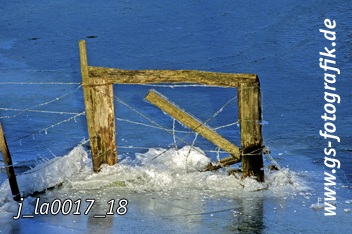 Bild in den Warenkorb legen Bild in den Warenkorb legen