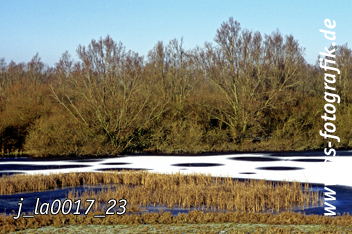 Bild in den Warenkorb legen Bild in den Warenkorb legen