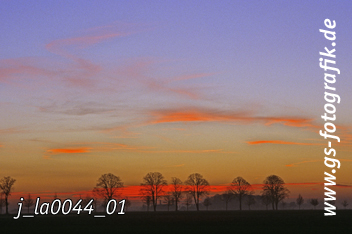 Bild in den Warenkorb legen Bild in den Warenkorb legen