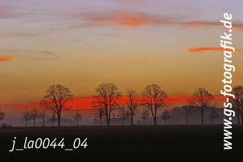 Bild in den Warenkorb legen Bild in den Warenkorb legen