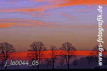 Bild in den Warenkorb legen Bild in den Warenkorb legen