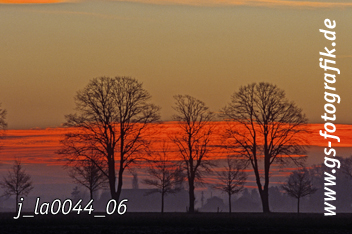 Bild in den Warenkorb legen Bild in den Warenkorb legen