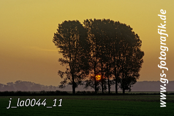 Bild in den Warenkorb legen Bild in den Warenkorb legen