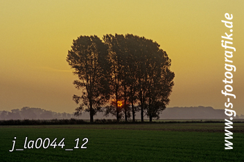 Bild in den Warenkorb legen Bild in den Warenkorb legen