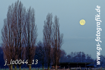 Bild in den Warenkorb legen Bild in den Warenkorb legen