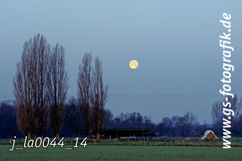 Bild in den Warenkorb legen Bild in den Warenkorb legen