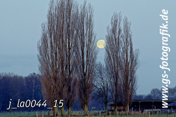 Bild in den Warenkorb legen Bild in den Warenkorb legen