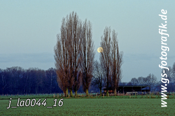 Bild in den Warenkorb legen Bild in den Warenkorb legen