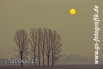 Bild in den Warenkorb legen Bild in den Warenkorb legen