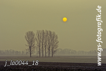 Bild in den Warenkorb legen Bild in den Warenkorb legen