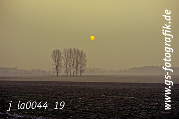 Bild in den Warenkorb legen Bild in den Warenkorb legen