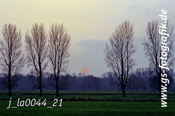 Bild in den Warenkorb legen Bild in den Warenkorb legen