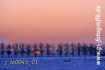 Bild in den Warenkorb legen