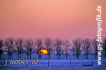 Bild in den Warenkorb legen